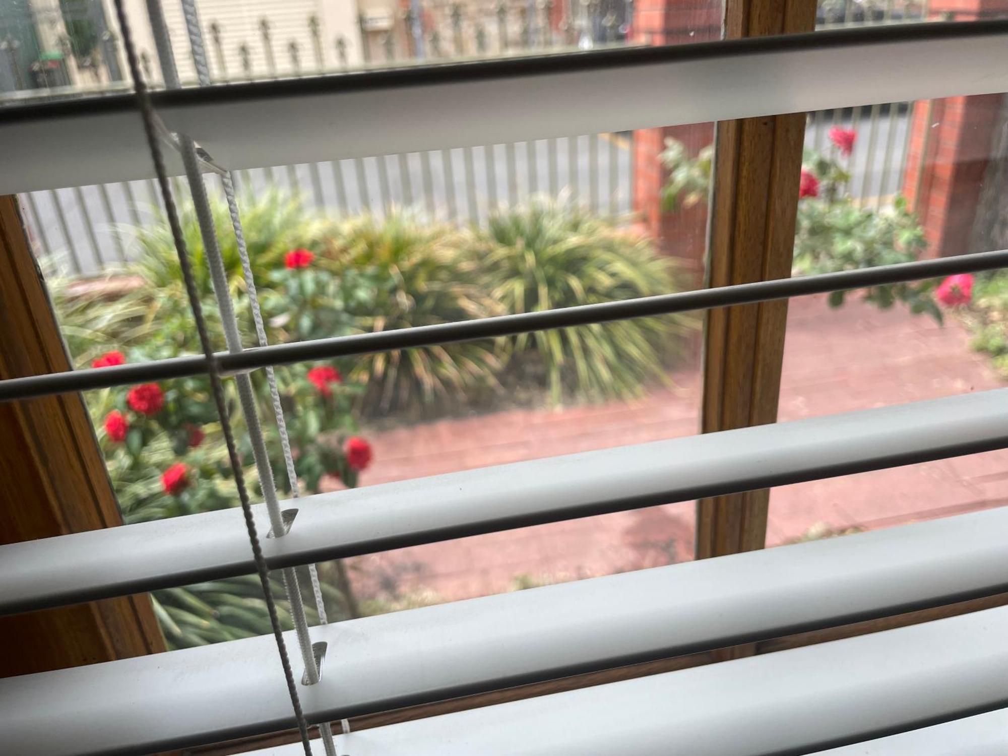 Adelaide Style Accommodation-Getaway In North Adelaide- Close To City Eksteriør bilde