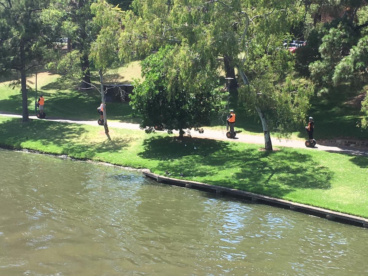 Adelaide Style Accommodation-Getaway In North Adelaide- Close To City Eksteriør bilde