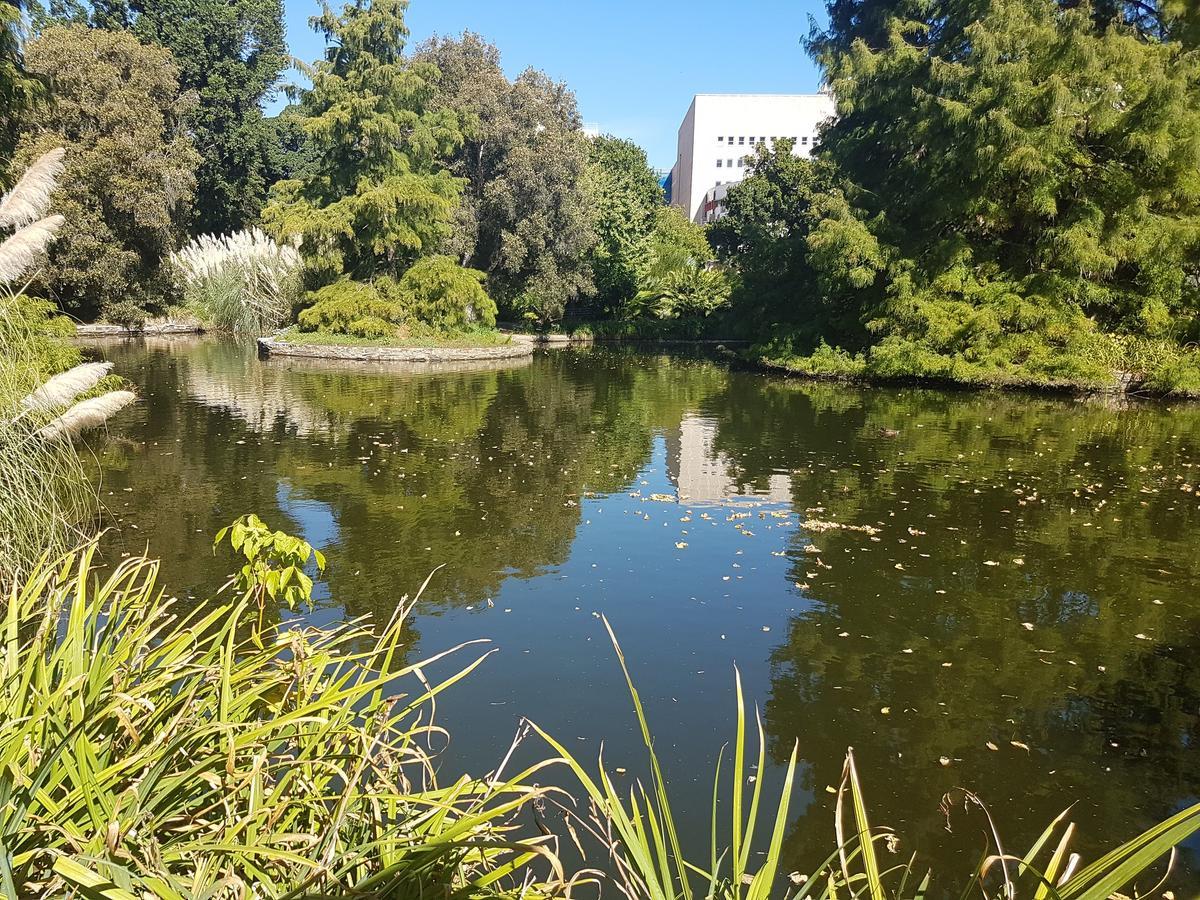 Adelaide Style Accommodation-Getaway In North Adelaide- Close To City Eksteriør bilde