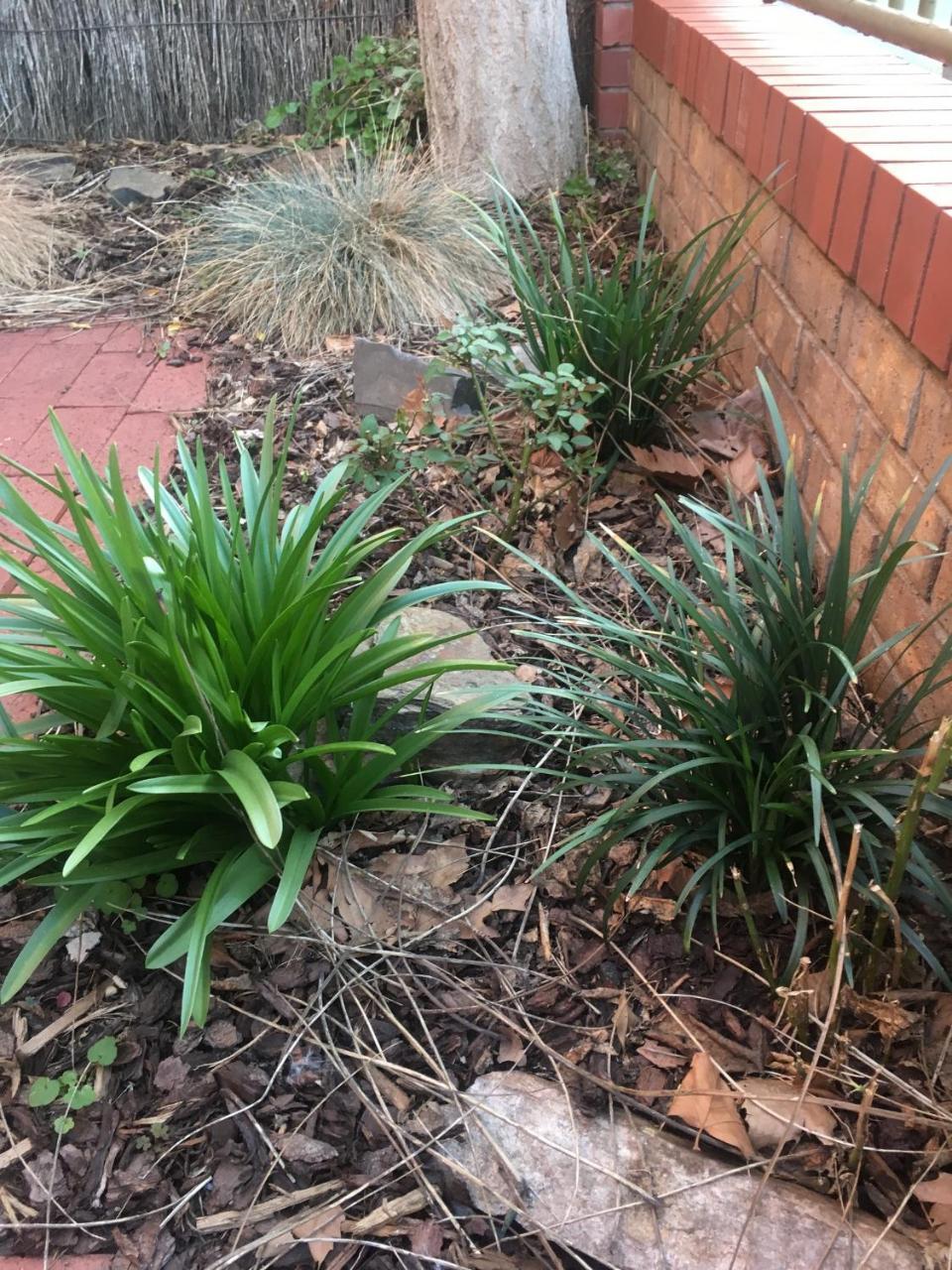 Adelaide Style Accommodation-Getaway In North Adelaide- Close To City Eksteriør bilde